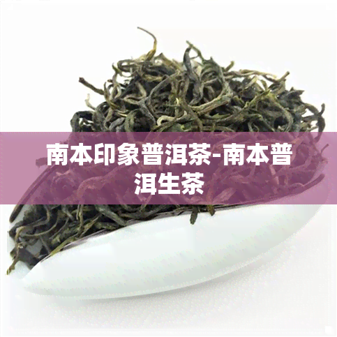 南本印象普洱茶-南本普洱生茶