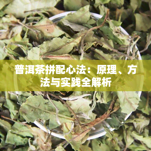 普洱茶拼配心法：原理、方法与实践全解析