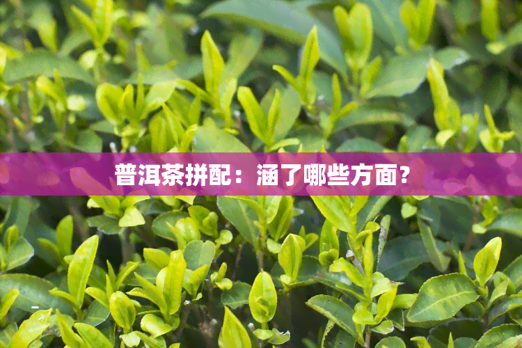 普洱茶拼配：涵了哪些方面？