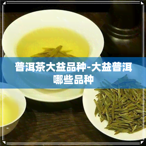 普洱茶大益品种-大益普洱哪些品种