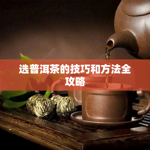 选普洱茶的技巧和方法全攻略