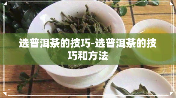 选普洱茶的技巧-选普洱茶的技巧和方法