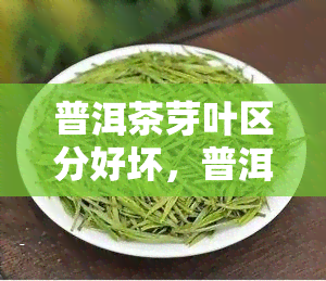 普洱茶芽叶区分好坏，普洱茶：如何通过芽叶区分茶叶的好坏？