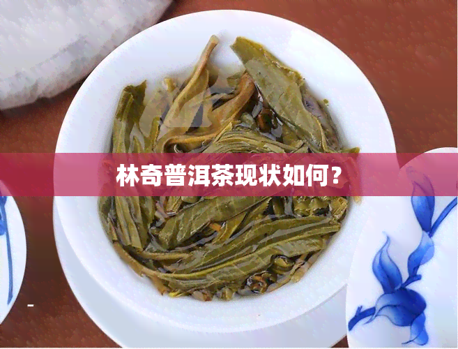 林奇普洱茶现状如何？