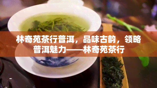 林奇苑茶行普洱，品味古韵，领略普洱魅力——林奇苑茶行