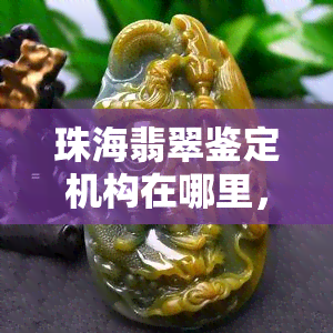 珠海翡翠鉴定机构在哪里，寻找优质翡翠？珠海翡翠鉴定机构地址全攻略