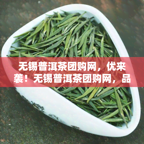 无锡普洱茶团购网，优来袭！无锡普洱茶团购网，品味健生活的不二选择