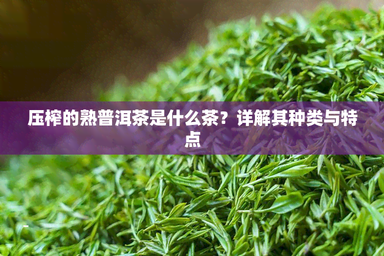 压榨的熟普洱茶是什么茶？详解其种类与特点