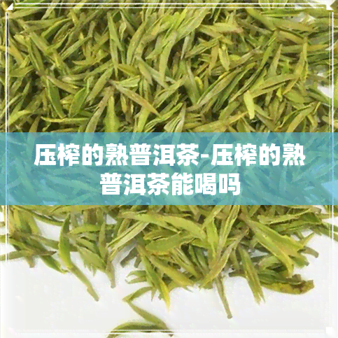 压榨的熟普洱茶-压榨的熟普洱茶能喝吗