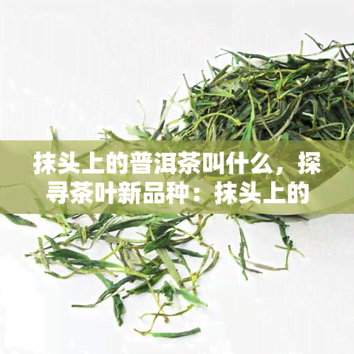 抹头上的普洱茶叫什么，探寻茶叶新品种：抹头上的普洱茶究竟有何独特之处？