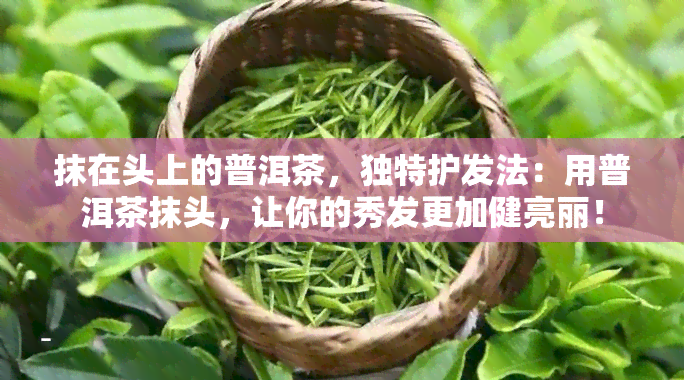 抹在头上的普洱茶，独特护发法：用普洱茶抹头，让你的秀发更加健亮丽！