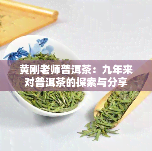 黄刚老师普洱茶：九年来对普洱茶的探索与分享