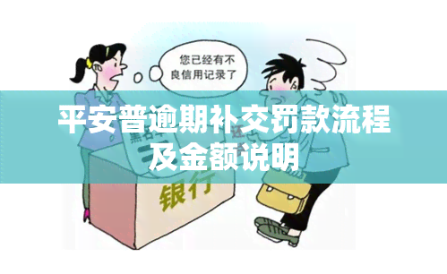 平安普逾期补交罚款流程及金额说明