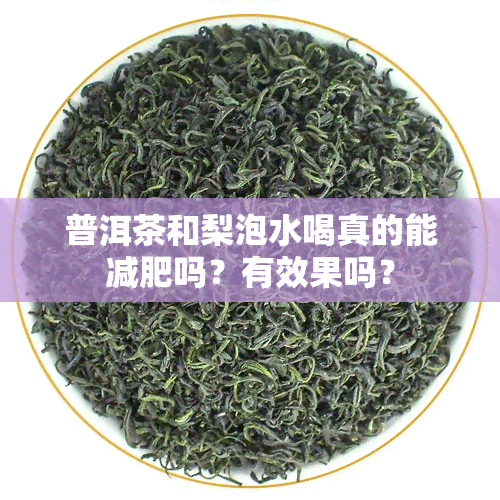 普洱茶和梨泡水喝真的能减肥吗？有效果吗？