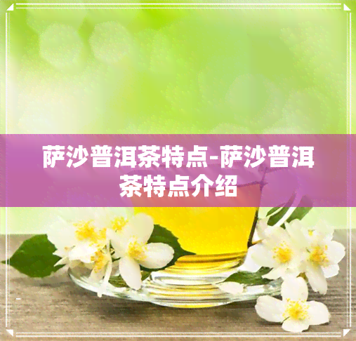 萨沙普洱茶特点-萨沙普洱茶特点介绍