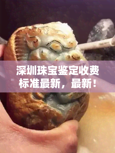 深圳珠宝鉴定收费标准最新，最新！深圳珠宝鉴定收费标准一览