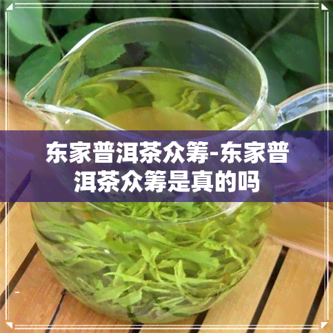 东家普洱茶众筹-东家普洱茶众筹是真的吗