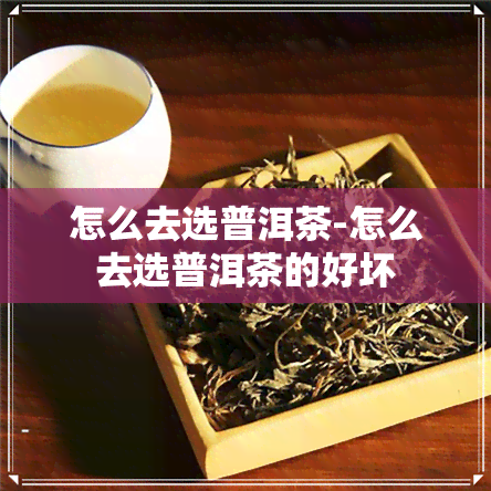 怎么去选普洱茶-怎么去选普洱茶的好坏