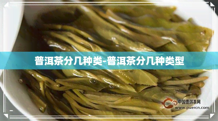 普洱茶分几种类-普洱茶分几种类型