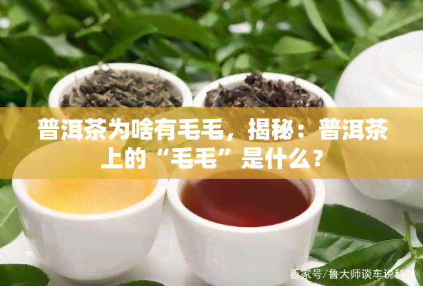 普洱茶为啥有毛毛，揭秘：普洱茶上的“毛毛”是什么？