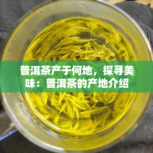 普洱茶产于何地，探寻美味：普洱茶的产地介绍