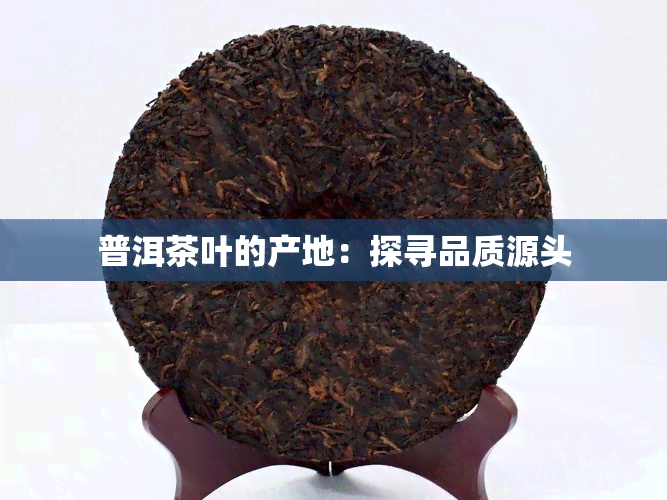 普洱茶叶的产地：探寻品质源头