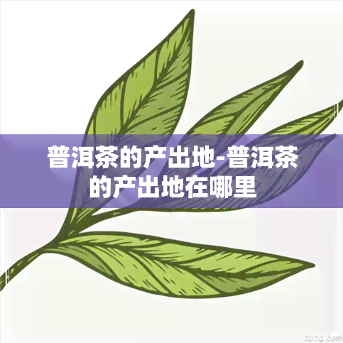 普洱茶的产出地-普洱茶的产出地在哪里