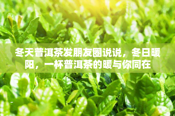 冬天普洱茶发朋友圈说说，冬日暖阳，一杯普洱茶的暖与你同在