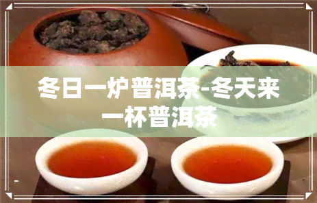 冬日一炉普洱茶-冬天来一杯普洱茶