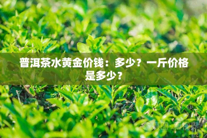 普洱茶水黄金价钱：多少？一斤价格是多少？