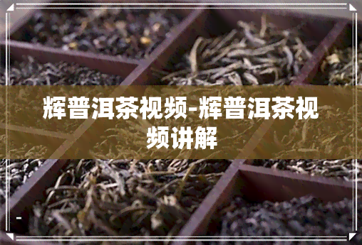 辉普洱茶视频-辉普洱茶视频讲解