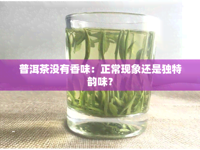 普洱茶没有香味：正常现象还是独特韵味？