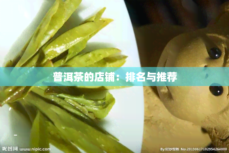 普洱茶的店铺：排名与推荐