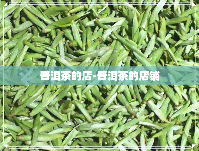 普洱茶的店-普洱茶的店铺