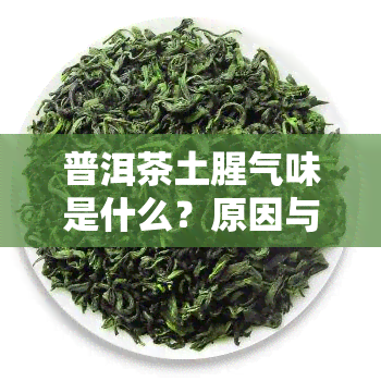 普洱茶土腥气味是什么？原因与味道解析