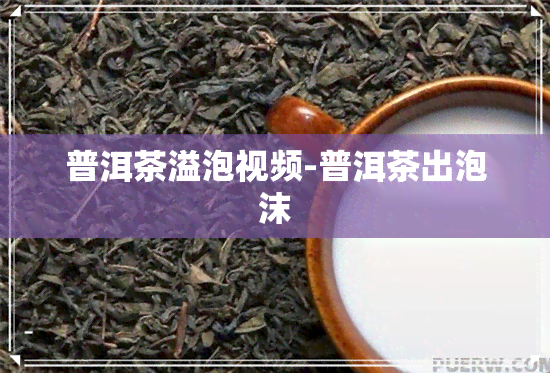 普洱茶溢泡视频-普洱茶出泡沫