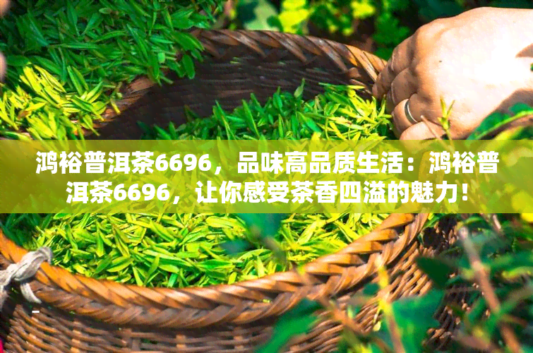 鸿裕普洱茶6696，品味高品质生活：鸿裕普洱茶6696，让你感受茶香四溢的魅力！