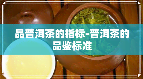 品普洱茶的指标-普洱茶的品鉴标准