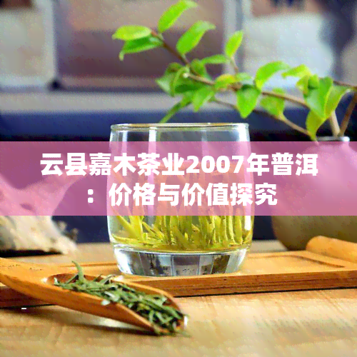 云县嘉木茶业2007年普洱：价格与价值探究