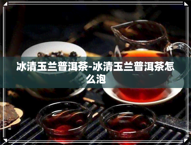 冰清玉兰普洱茶-冰清玉兰普洱茶怎么泡