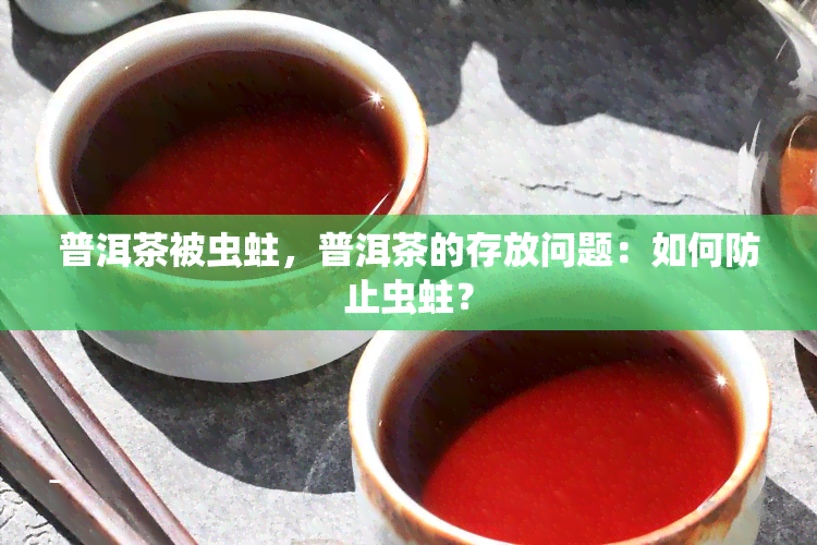 普洱茶被虫蛀，普洱茶的存放问题：如何防止虫蛀？