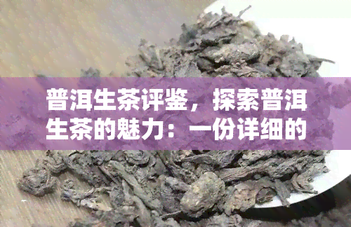 普洱生茶评鉴，探索普洱生茶的魅力：一份详细的评鉴指南