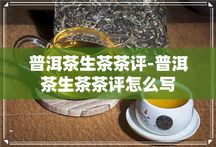 普洱茶生茶茶评-普洱茶生茶茶评怎么写