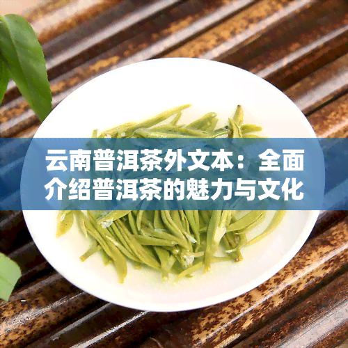 云南普洱茶外文本：全面介绍普洱茶的魅力与文化