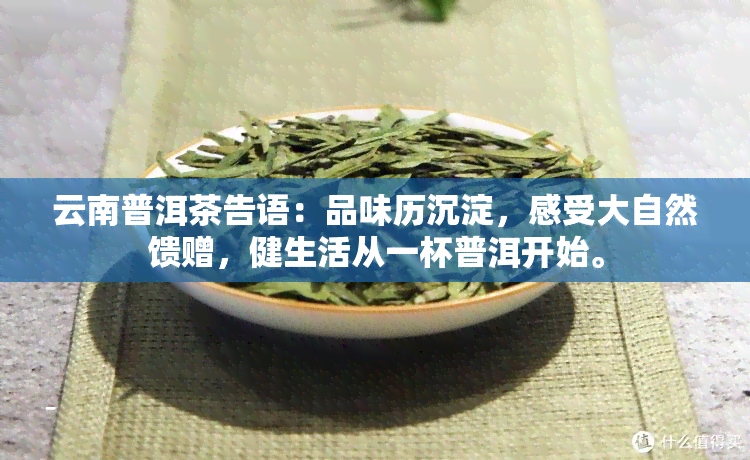 云南普洱茶告语：品味历沉淀，感受大自然馈赠，健生活从一杯普洱开始。