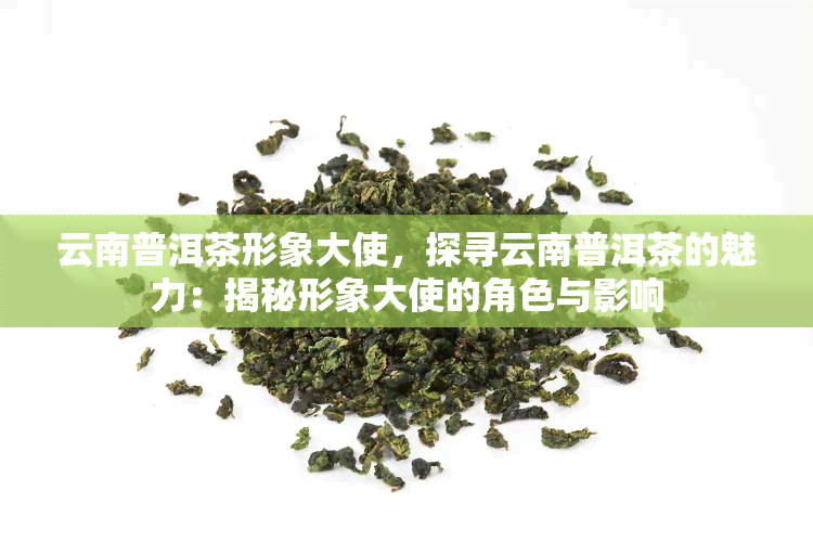 云南普洱茶形象大使，探寻云南普洱茶的魅力：揭秘形象大使的角色与影响