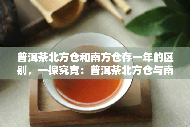 普洱茶北方仓和南方仓存一年的区别，一探究竟：普洱茶北方仓与南方仓一年后的差异