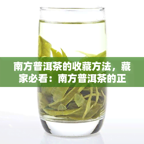 南方普洱茶的收藏方法，藏家必看：南方普洱茶的正确收藏方法