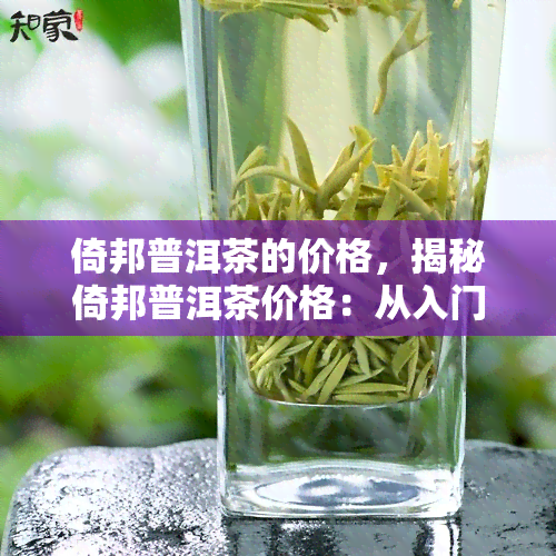 倚邦普洱茶的价格，揭秘倚邦普洱茶价格：从入门到高端，一文了解全貌！