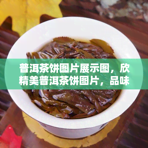 普洱茶饼图片展示图，欣精美普洱茶饼图片，品味千年茶文化